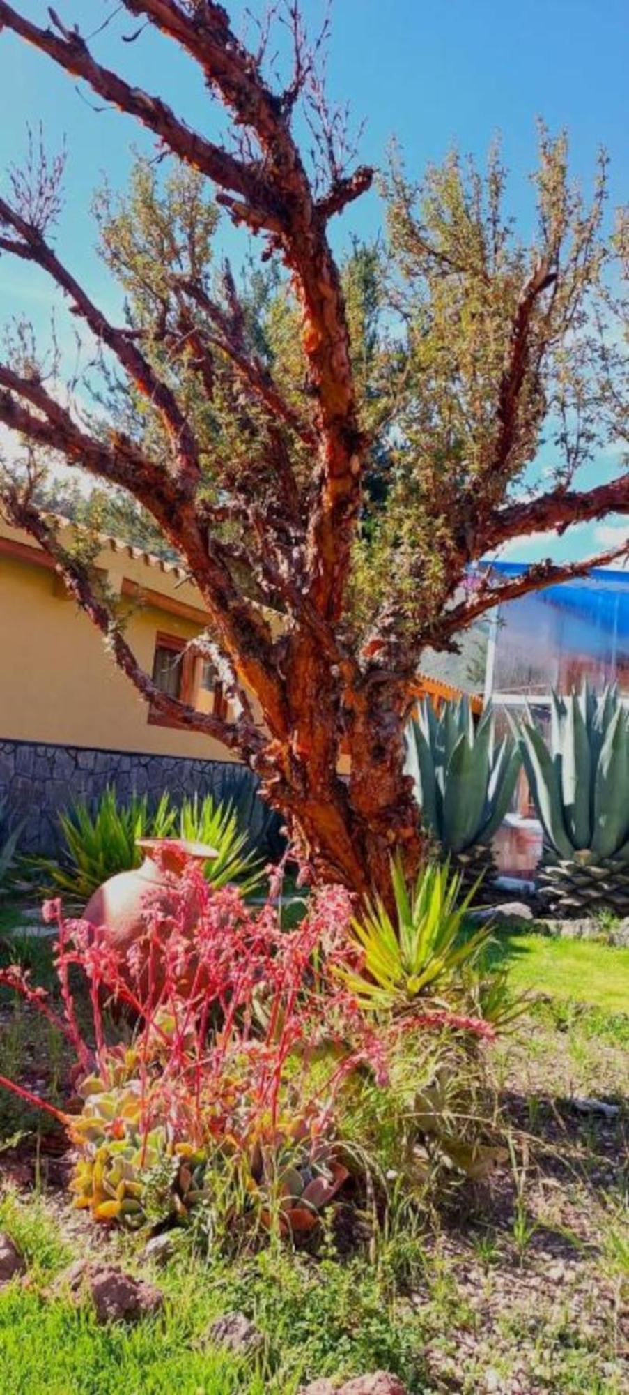 Отель Tradicion Colca Янке Экстерьер фото